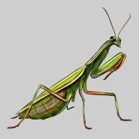 Mantis Premium Tee | Teevron