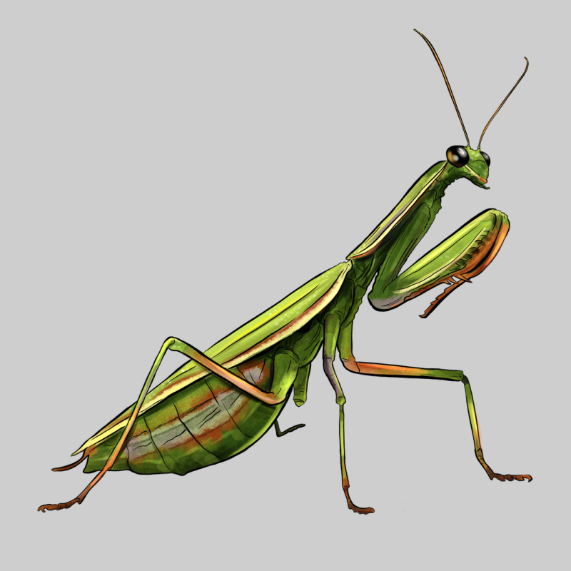 Mantis Premium Tee by LillyAllenDesigns | Teevron