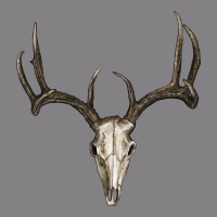 Deer Skull Heavyweight Hoodie | Teevron