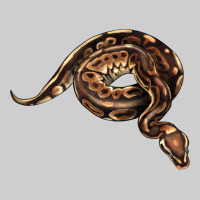 Royal Ball Python Illustrations Premium Tee | Teevron