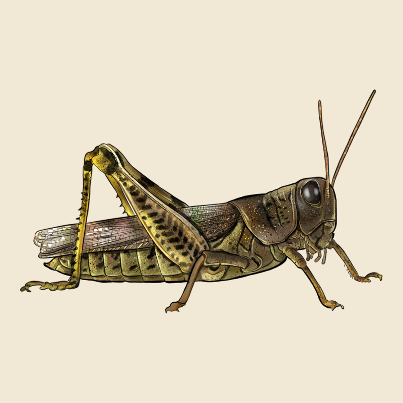 Grasshopper Premium Tee by LillyAllenDesigns | Teevron