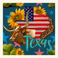 4th Of July Texas Map With Cow Seamless Pattern Premium Hoodie | Teevron