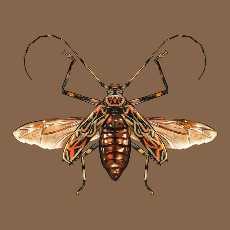Acrocinus Beetle With Wings Premium Tee by LillyAllenDesigns | Teevron