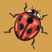 Ladybug Urban Hoodie | Teevron