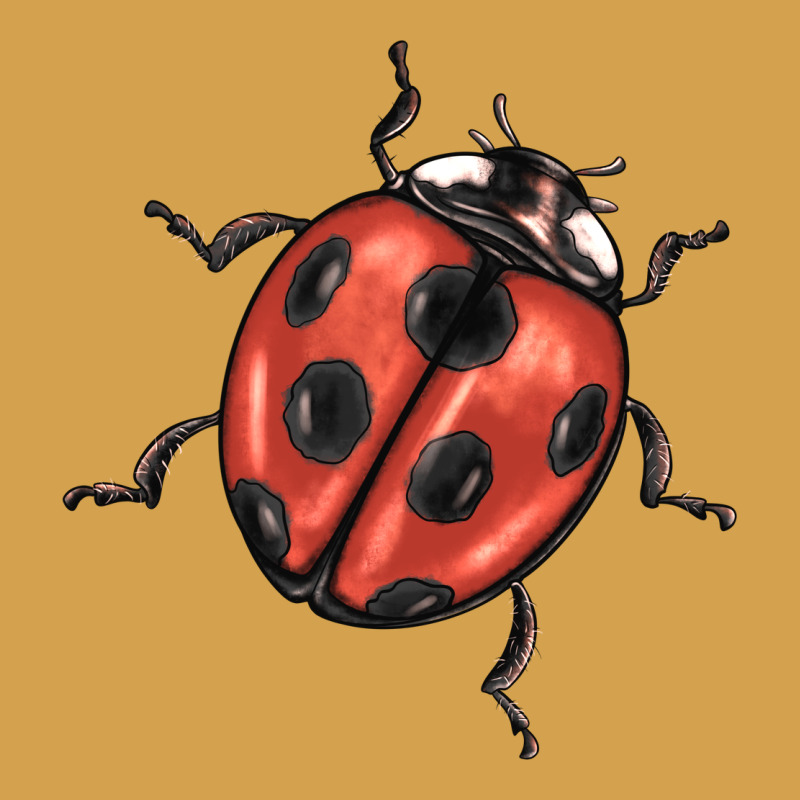 Ladybug Urban Hoodie by BarkalooDesign | Teevron