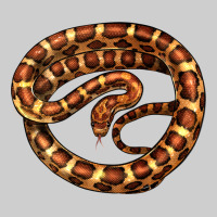 Corn Snake Illustrations Premium Tee | Teevron
