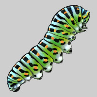 Papilio Machaon Caterpillar Premium Tee | Teevron