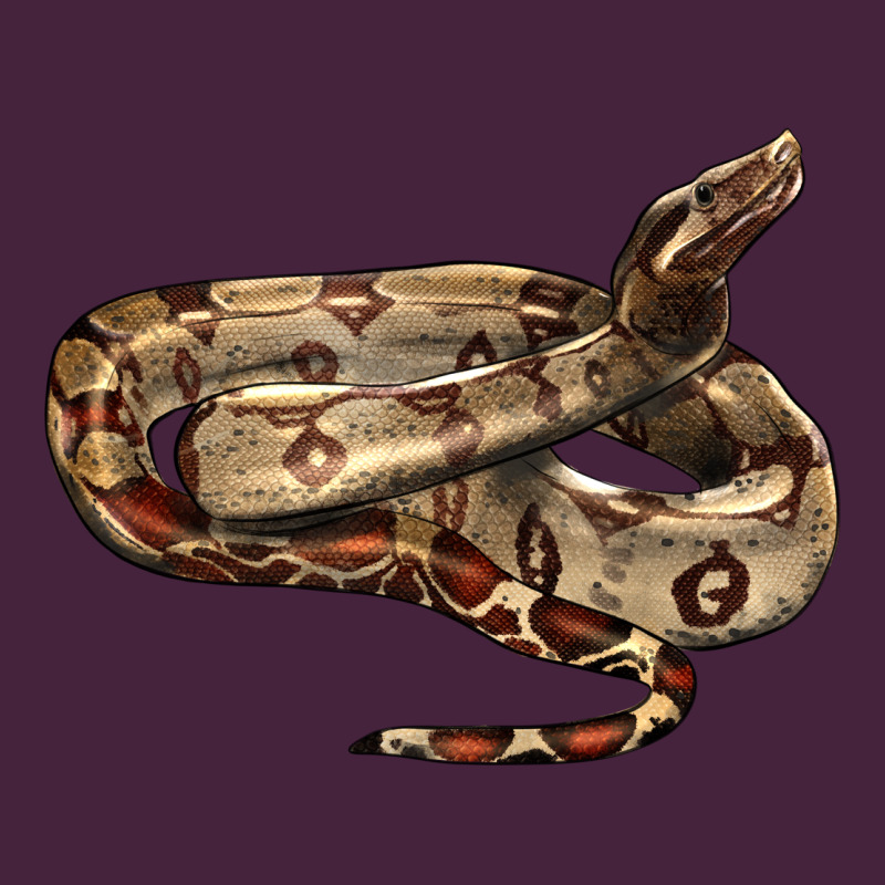 Red Tail Boa Snake Premium Tee by LillyAllenDesigns | Teevron