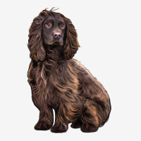 Boykin Spaniel Dog Urban Hoodie | Teevron