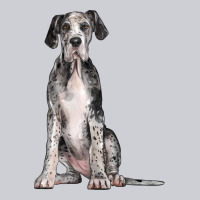 Great Dane Dog Urban Hoodie | Teevron