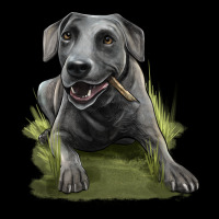 Texas Blue Lacy Dog Urban Hoodie | Teevron