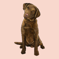 Chesapeake Bay Retriever Urban Hoodie | Teevron