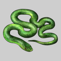 Boomslang Snake Premium Tee | Teevron