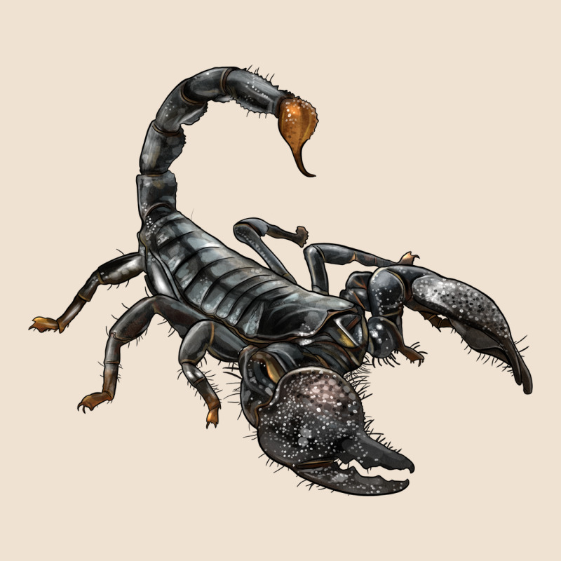 Scorpion Urban Hoodie by LillyAllenDesigns | Teevron