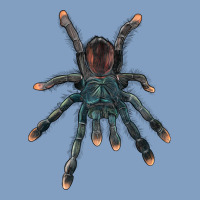 Pink Toe Tarantula Urban Hoodie | Teevron