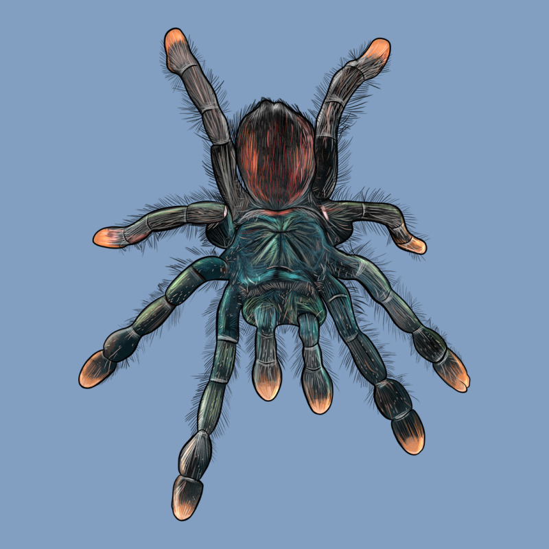 Pink Toe Tarantula Urban Hoodie by LillyAllenDesigns | Teevron