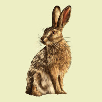 Hares Urban Hoodie | Teevron