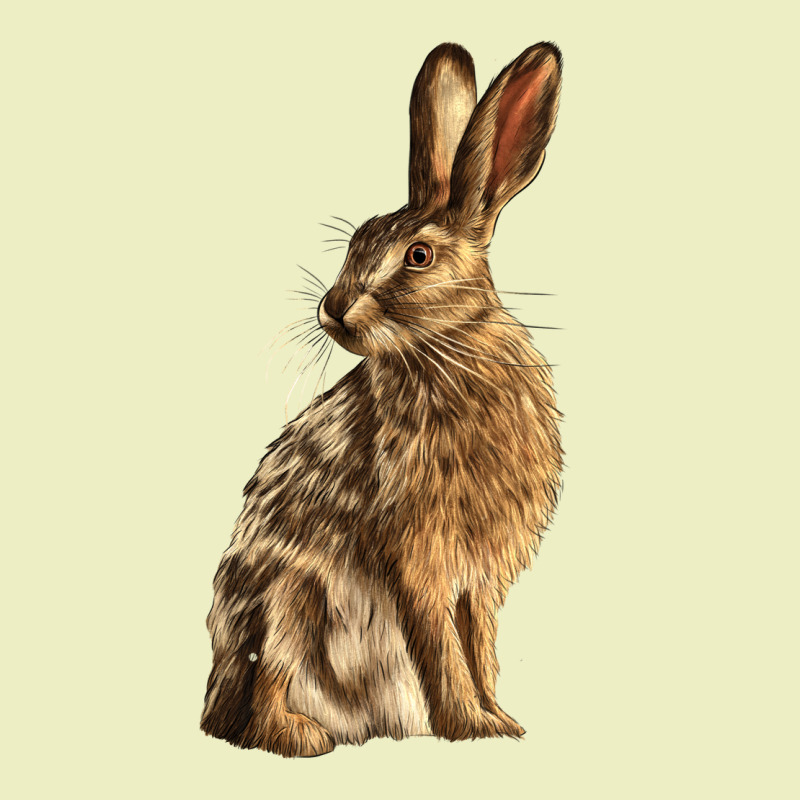 Hares Urban Hoodie by LillyAllenDesigns | Teevron