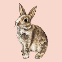 Rabbit Urban Hoodie | Teevron