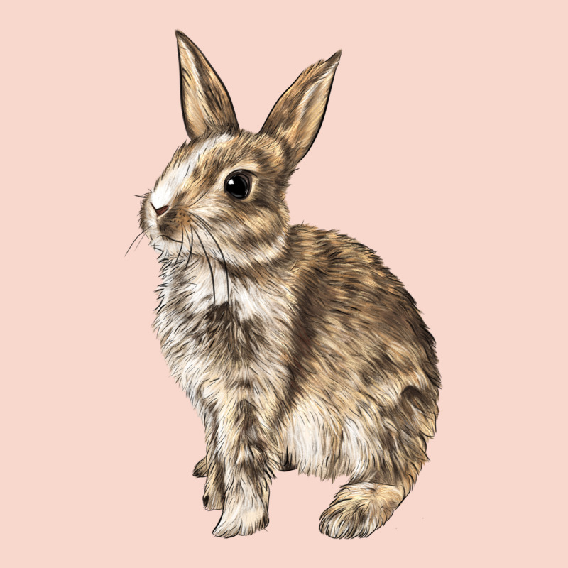 Rabbit Urban Hoodie by LillyAllenDesigns | Teevron
