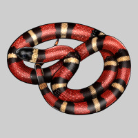 Milk Snake Premium Tee | Teevron