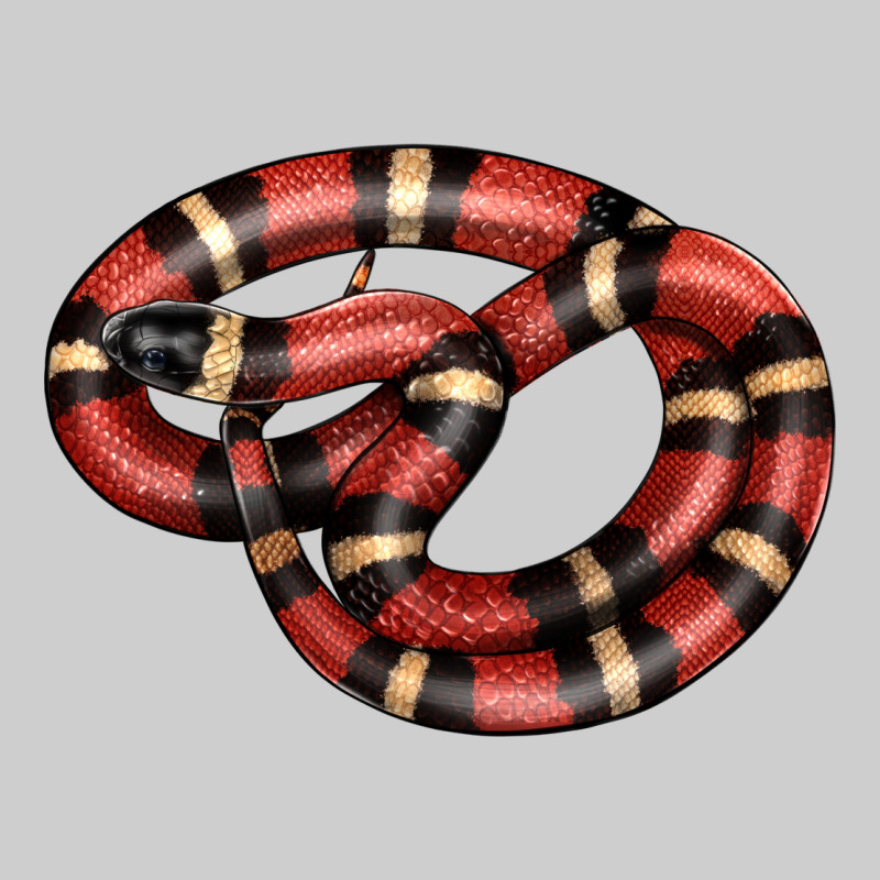 Milk Snake Premium Tee by LillyAllenDesigns | Teevron