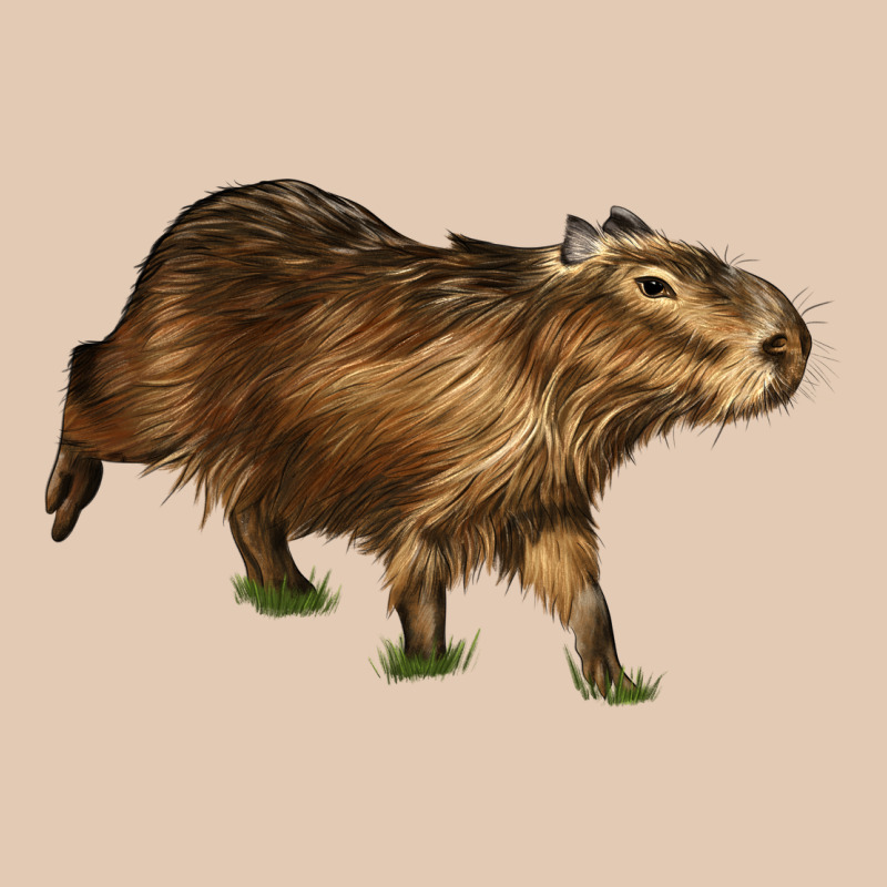 Capybara Urban Hoodie by LillyAllenDesigns | Teevron