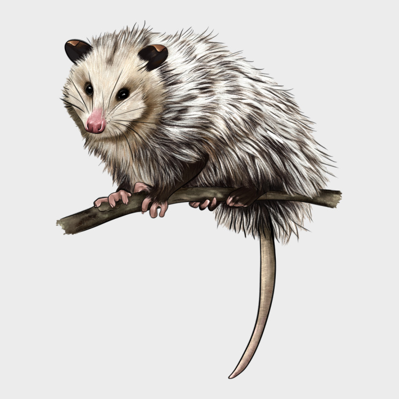Opossum Urban Hoodie by LillyAllenDesigns | Teevron