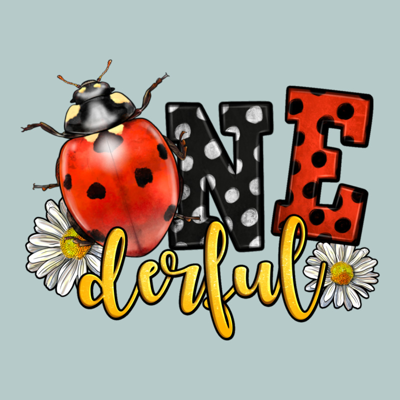 Onederful Wonderful Ladybug Heavy Core Tee by LillyAllenDesigns | Teevron