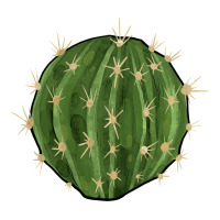 cactus | Teevron
