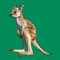 Baby Kangaroo Urban Hoodie | Teevron