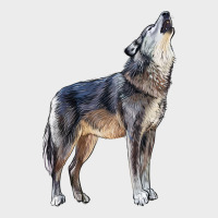 Wolf Urban Hoodie | Teevron