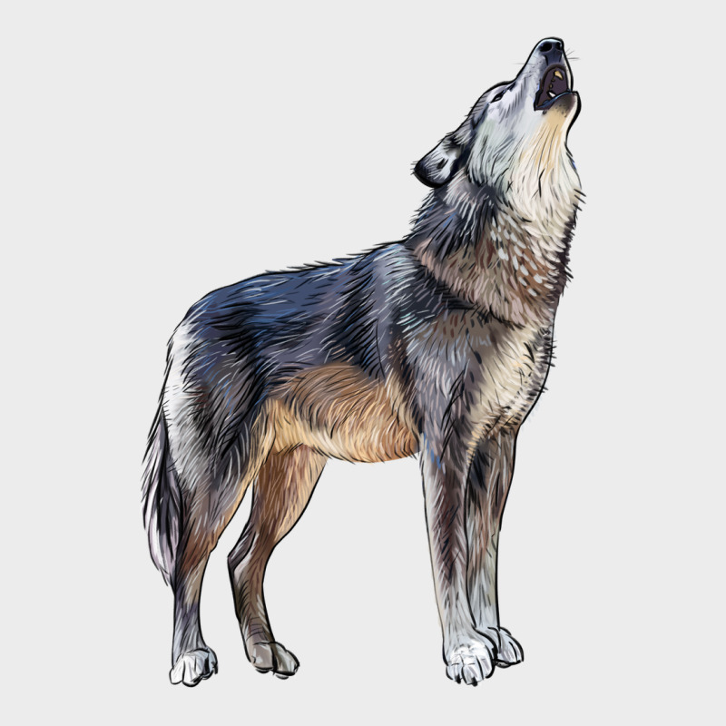 Wolf Urban Hoodie by LillyAllenDesigns | Teevron