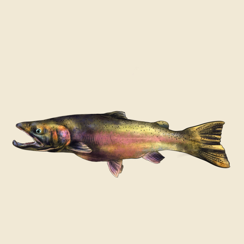 Steelhead Trout Premium Tee by LillyAllenDesigns | Teevron