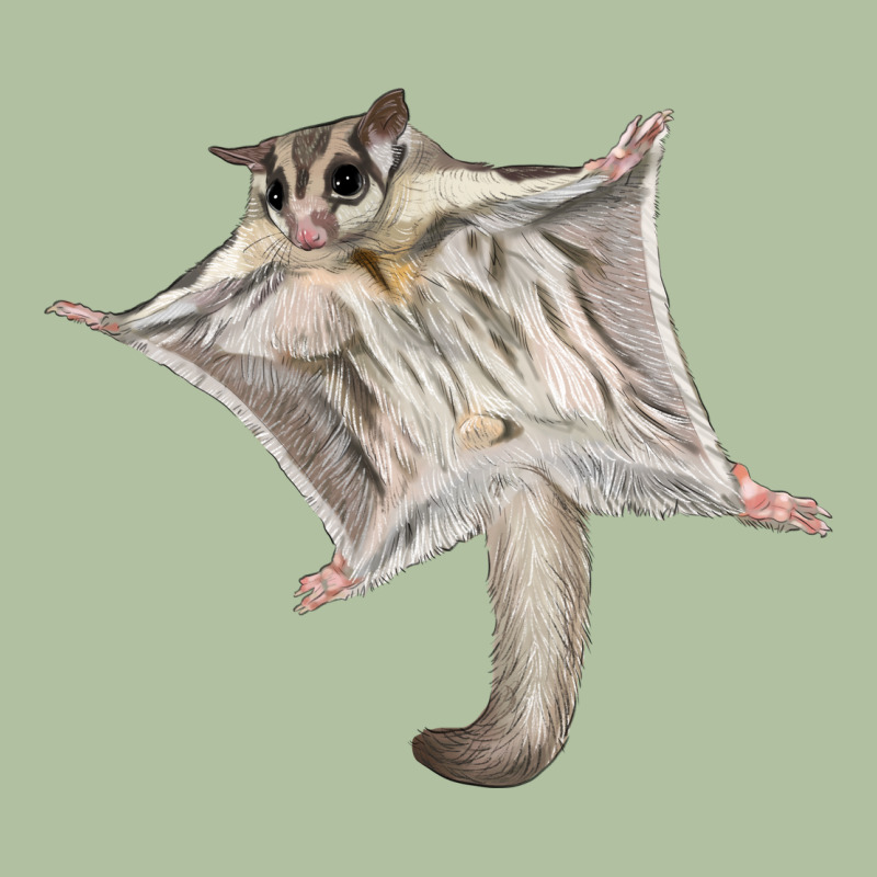 Sugar Glider Urban Hoodie by LillyAllenDesigns | Teevron