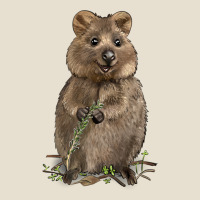 Quokka Urban Hoodie | Teevron