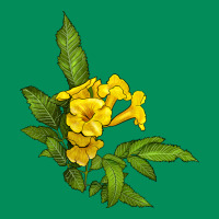 Yellow Elder Flower Urban Hoodie | Teevron