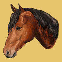 Horse Premium Sweatshirt | Teevron