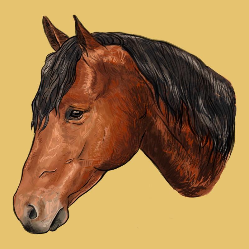 Horse Premium Sweatshirt by RanaPortraitStore | Teevron