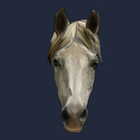 Horse Head Premium Sweatshirt | Teevron