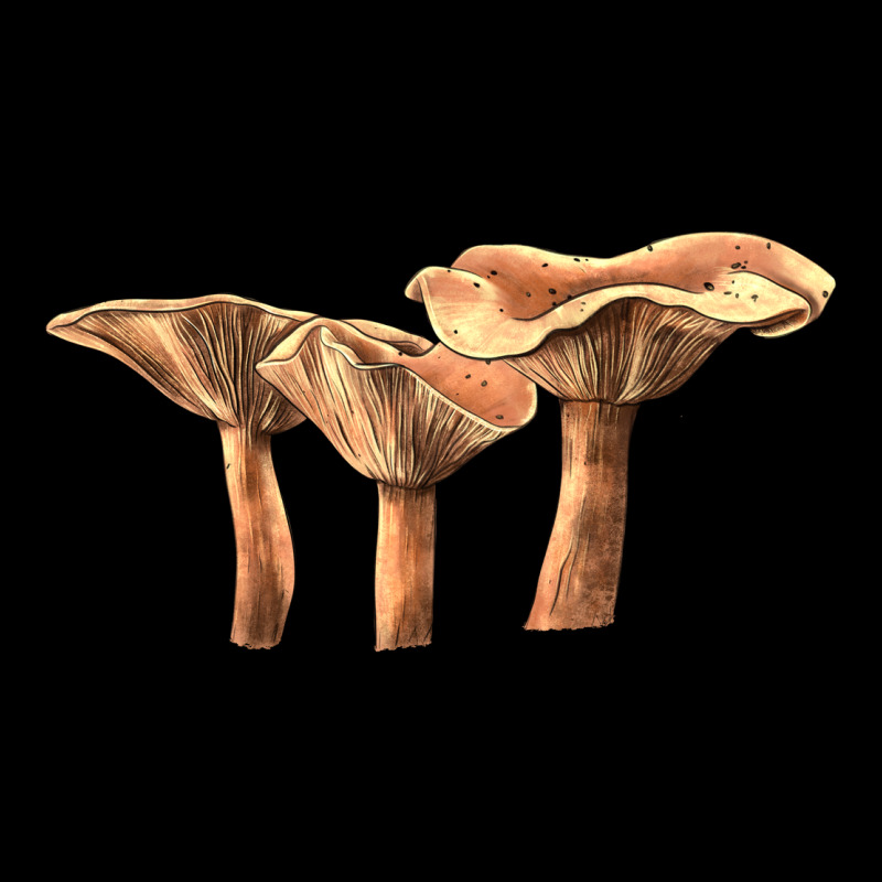 Lactarius Rufus Mushroom Premium Tee by LillyAllenDesigns | Teevron