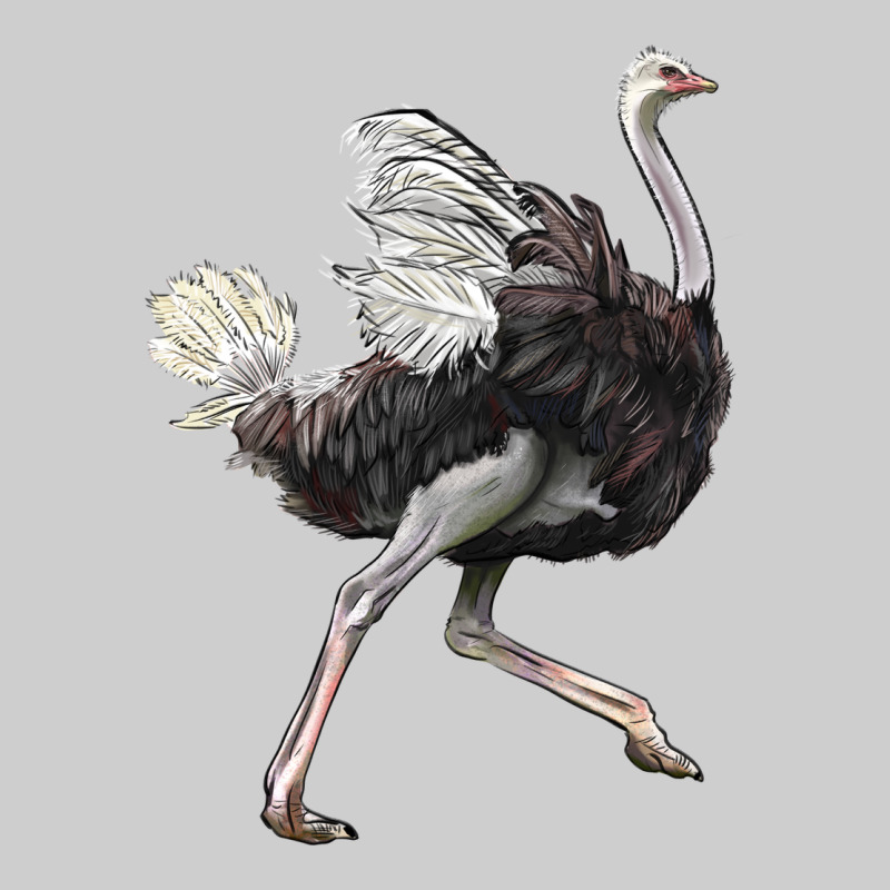 Ostrich Premium Tee by LillyAllenDesigns | Teevron