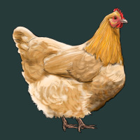 Chicken Premium Sweatshirt | Teevron