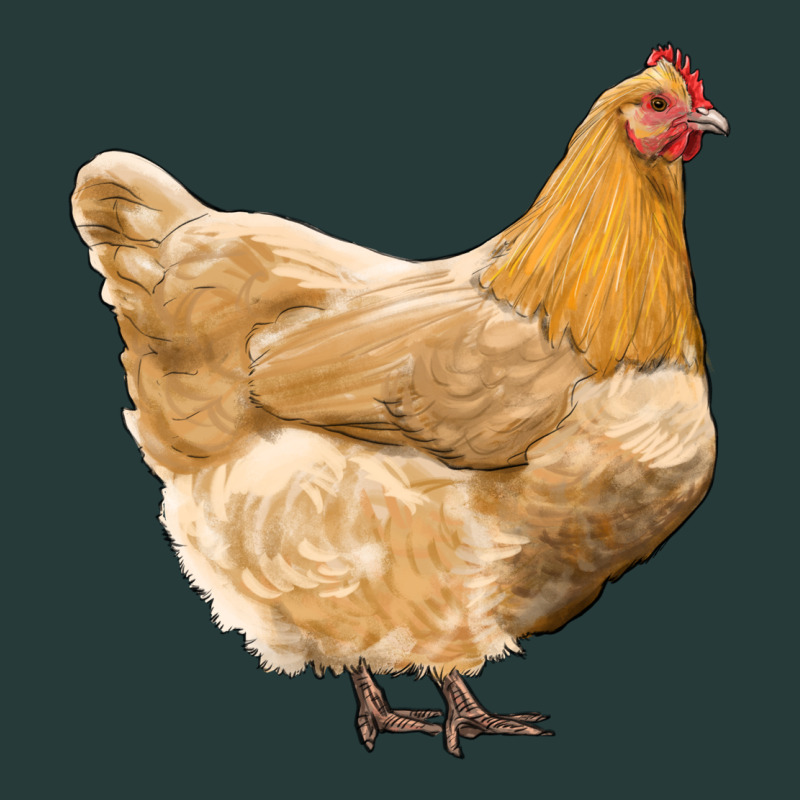 Chicken Premium Sweatshirt by RanaPortraitStore | Teevron