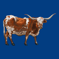 Longhorn Premium Sweatshirt | Teevron
