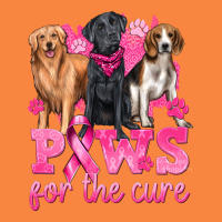 Paws For The Cure Premium Sweatshirt | Teevron