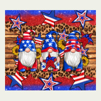 American Flag Gnomes Star Leopard Glitter Tumbler Urban Heavy Tee | Teevron