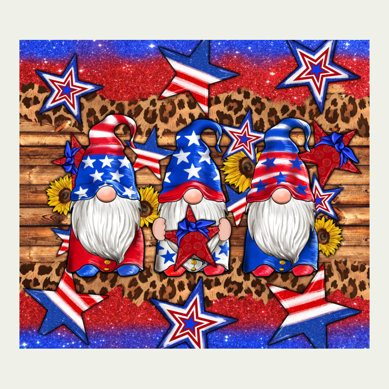 American Flag Gnomes Star Leopard Glitter Tumbler Urban Heavy Tee by Artiststas | Teevron