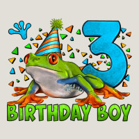 Birthday Boy Frog Age 3 Heavy Core Tee | Teevron
