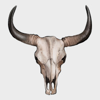 Bullskull Urban Hoodie | Teevron